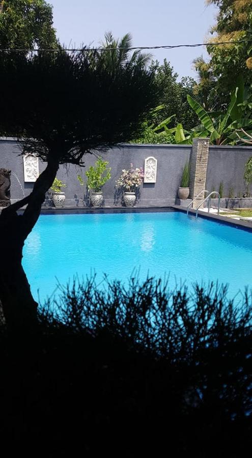 Mias Jungle House Lovina Exterior foto