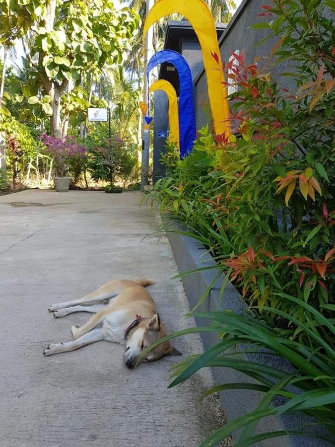 Mias Jungle House Lovina Exterior foto