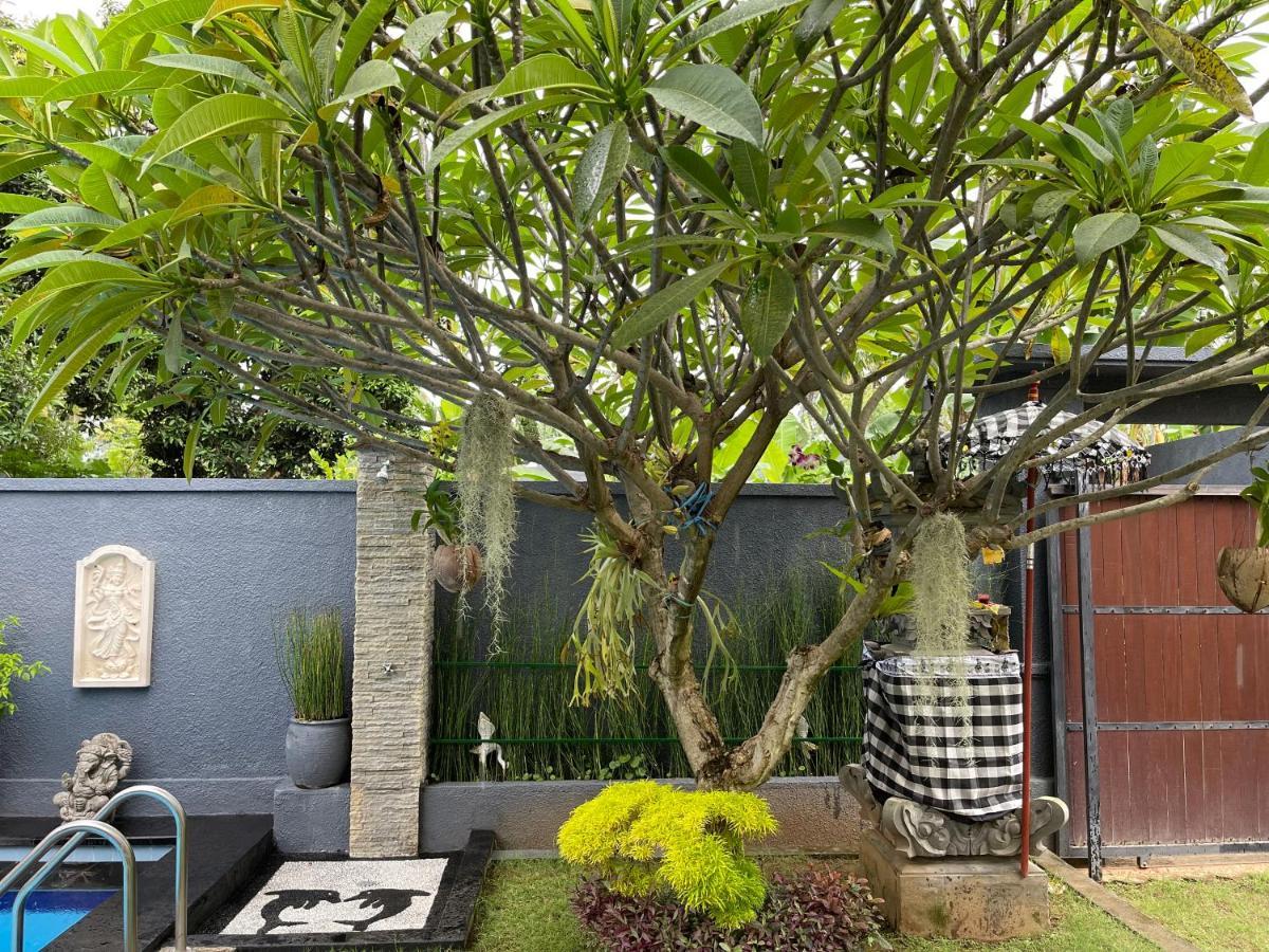Mias Jungle House Lovina Exterior foto