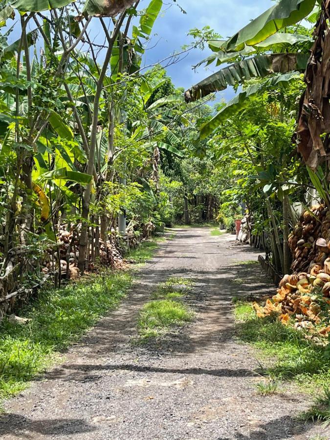 Mias Jungle House Lovina Exterior foto